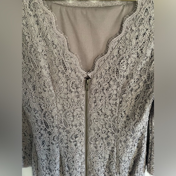 Adrianna Papell lace dress Live from the ared Carpet - Picture 6 of 8